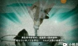 水门最新爆料事件视频,揭秘最新爆料视频背后的惊人真相